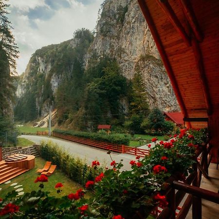 Casa Cheile Dambovicioarei - Cabana 2 Dîmbovicioara Dış mekan fotoğraf