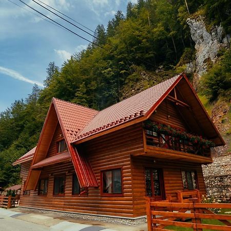 Casa Cheile Dambovicioarei - Cabana 2 Dîmbovicioara Dış mekan fotoğraf