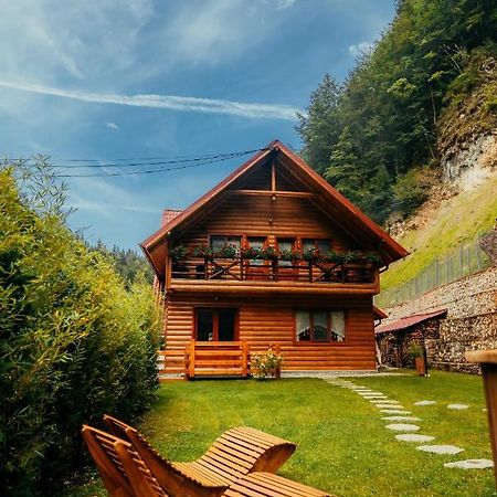 Casa Cheile Dambovicioarei - Cabana 2 Dîmbovicioara Dış mekan fotoğraf