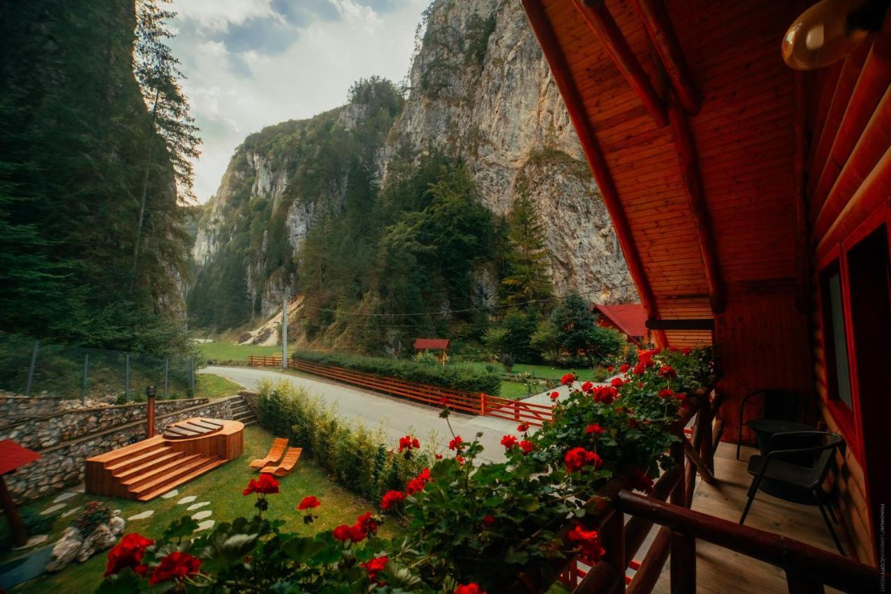 Casa Cheile Dambovicioarei - Cabana 2 Dîmbovicioara Dış mekan fotoğraf
