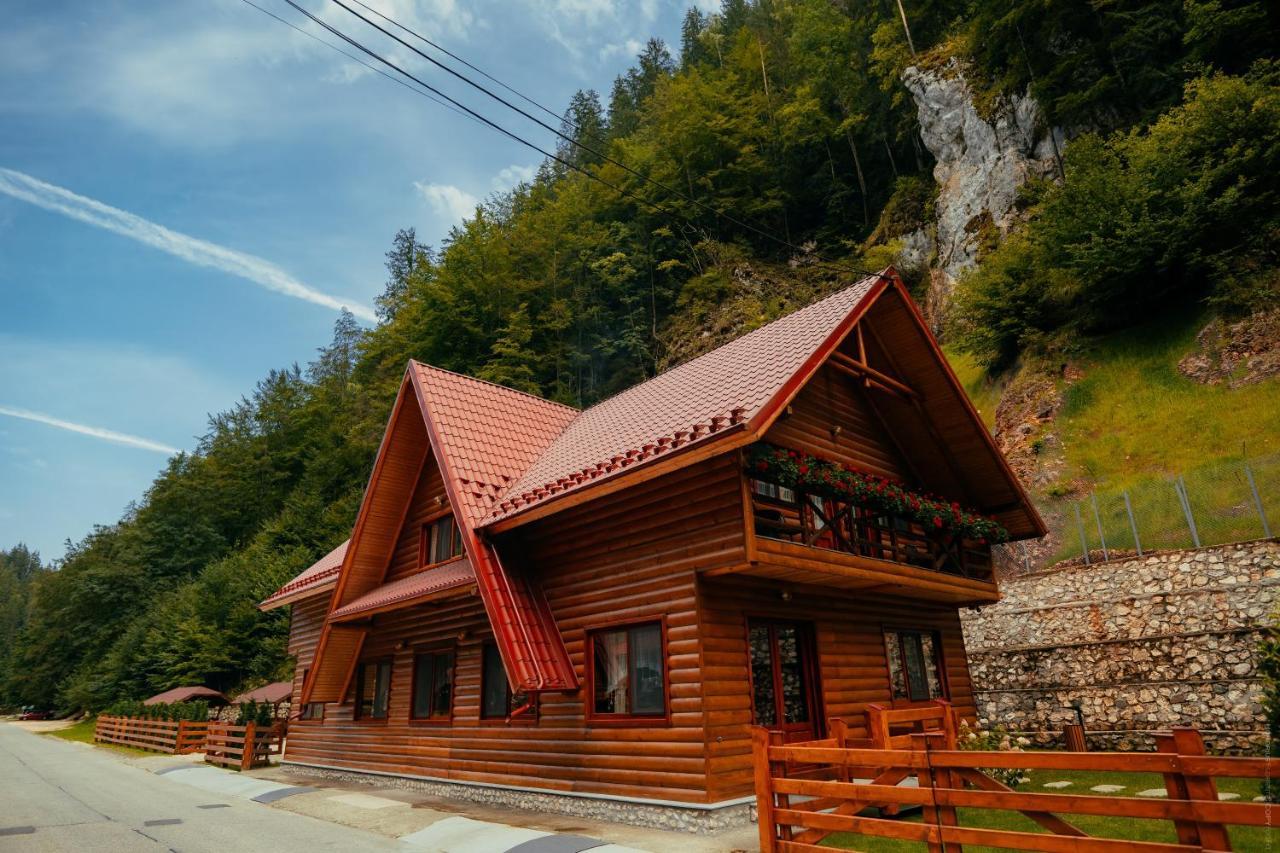 Casa Cheile Dambovicioarei - Cabana 2 Dîmbovicioara Dış mekan fotoğraf