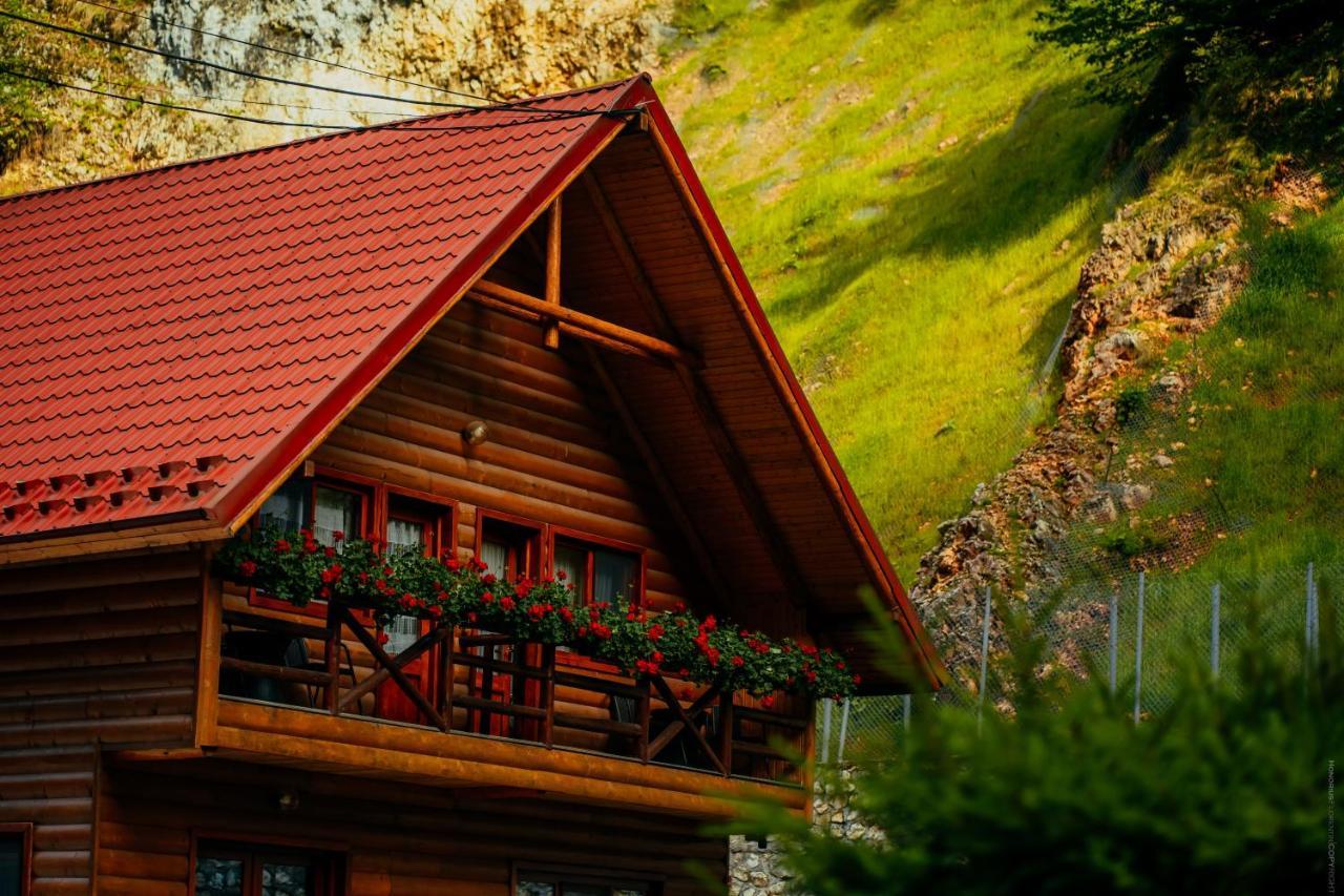 Casa Cheile Dambovicioarei - Cabana 2 Dîmbovicioara Dış mekan fotoğraf